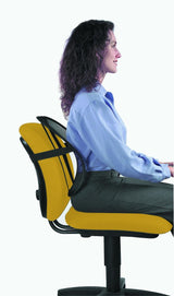 Fellowes Office Suites Mesh Back Support