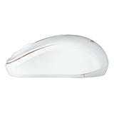 Targus W600 mouse Home Ambidextrous USB Type-A Optical 1600 DPI