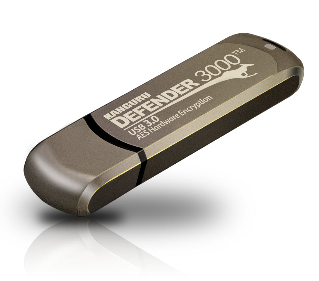 iStorage Kanguru Defender 3000™ SuperSpeed USB 3.0 256 GB| Secure Flash Drive | FIPS 140-3 Level 3 pending, FIPS 140-2 Level 3 Certified | AES-XTS 256-bit Hardware Encryption | TAA Compliant