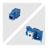 StarTech.com Cat6 Keystone Jack, 24-Pack RJ45 Ethernet Keystone Jacks, UTP Cat6 Wall Jack, 180-Degree Toolless, Blue