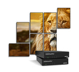 Matrox QuadHead2Go Q155 Multi-Monitor Controller Appliance / Q2G-H4K