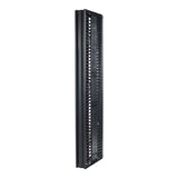 APC Valueline, Vertical Cable Manager for 2 & 4 Post Racks, 84"H X 6"W, Double-Sided with Doors
