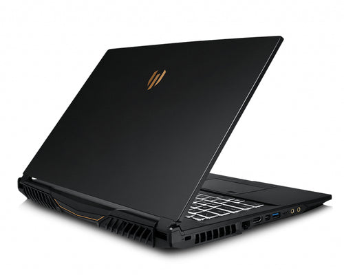 MSI Workstation WE75 9TJ-011CA laptop Intel® Core™ i7 i7-9750H Mobile workstation 43.9 cm (17.3") Full HD 32 GB DDR4-SDRAM 1.51 TB HDD+SSD NVIDIA Quadro T2000 Wi-Fi 5 (802.11ac) Windows 10 Pro Black