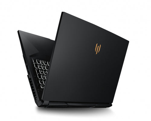 MSI Workstation WE75 9TK-699CA laptop Intel® Core™ i7 i7-9750H Mobile workstation 43.9 cm (17.3") Full HD 32 GB DDR4-SDRAM 1.51 TB HDD+SSD NVIDIA Quadro RTX 3000 Wi-Fi 5 (802.11ac) Windows 10 Pro Black