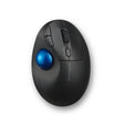 Kensington Pro Fit Ergo TB450 Trackball