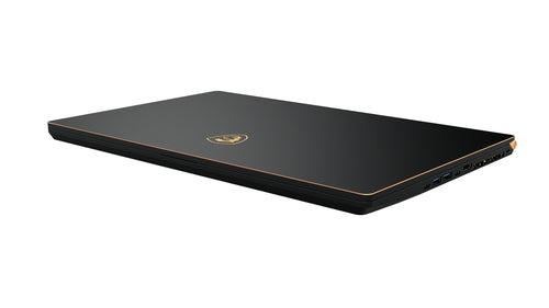 MSI Gaming GS75 10SFS-419CA Stealth Intel® Core™ i7 i7-10750H Laptop 43.9 cm (17.3") Full HD 16 GB DDR4-SDRAM 1 TB SSD NVIDIA GeForce RTX 2070 SUPER Wi-Fi 6 (802.11ax) Windows 10 Pro Black
