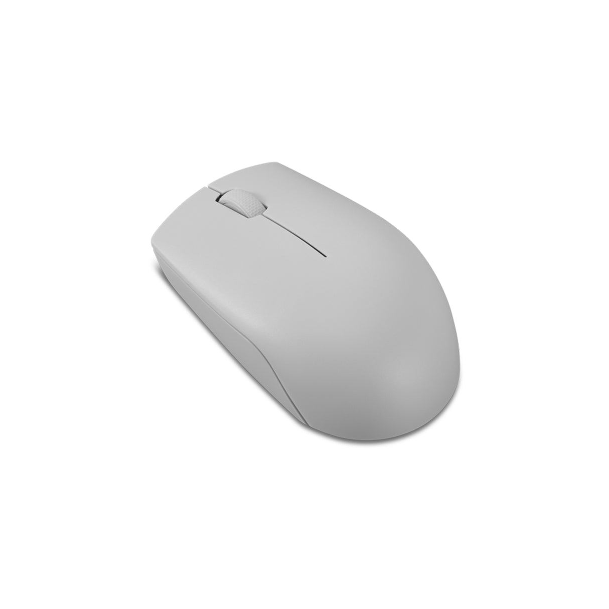 Lenovo 300 mouse Office Ambidextrous RF Wireless Optical 1000 DPI