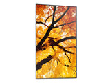 Sharp MultiSync M432 Digital signage flat panel 108 cm (42.5") LCD 550 cd/m² 4K Ultra HD Black