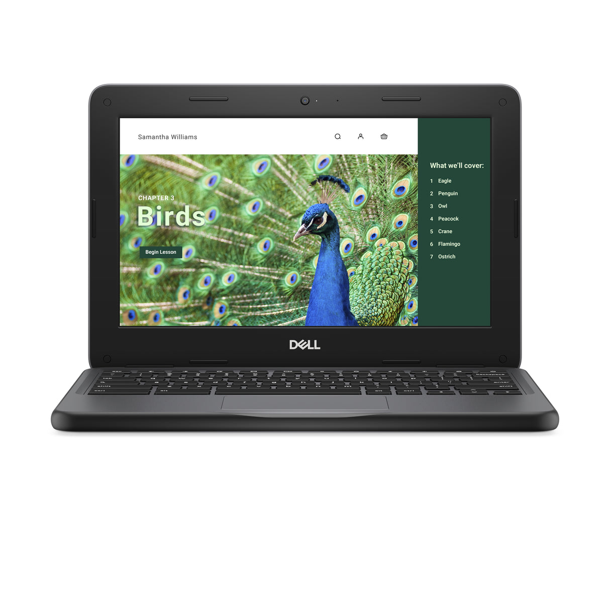 DELL Chromebook 3120 Intel® N N100 29.5 cm (11.6") Touchscreen HD 8 GB 64 GB Flash Wi-Fi 6 (802.11ax) ChromeOS Black