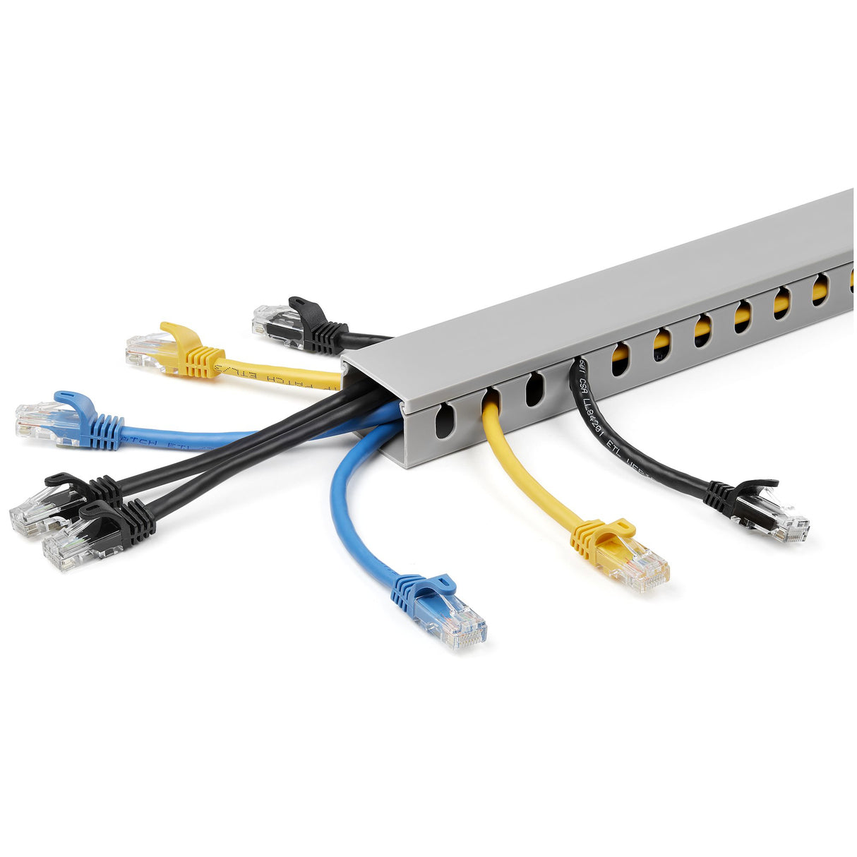 StarTech.com Open Slot Cable Management Raceway with Cover, 1-1/2"(38mm)W x 1"(25mm)H - 6.5ft(2m) length - 1/4"(8mm) Slots, PVC Network Cable Hider/Wall Wire Duct, Max 20 Cables, UL Listed - TAA