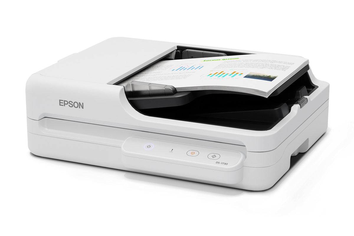 Epson DS-1730 Flatbed & ADF scanner 1200 x 1200 DPI A4 Black, White