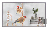 LG 55EW5P-M Signage Display 139.7 cm (55") OLED 600 cd/m² Full HD Silver Touchscreen 18/7