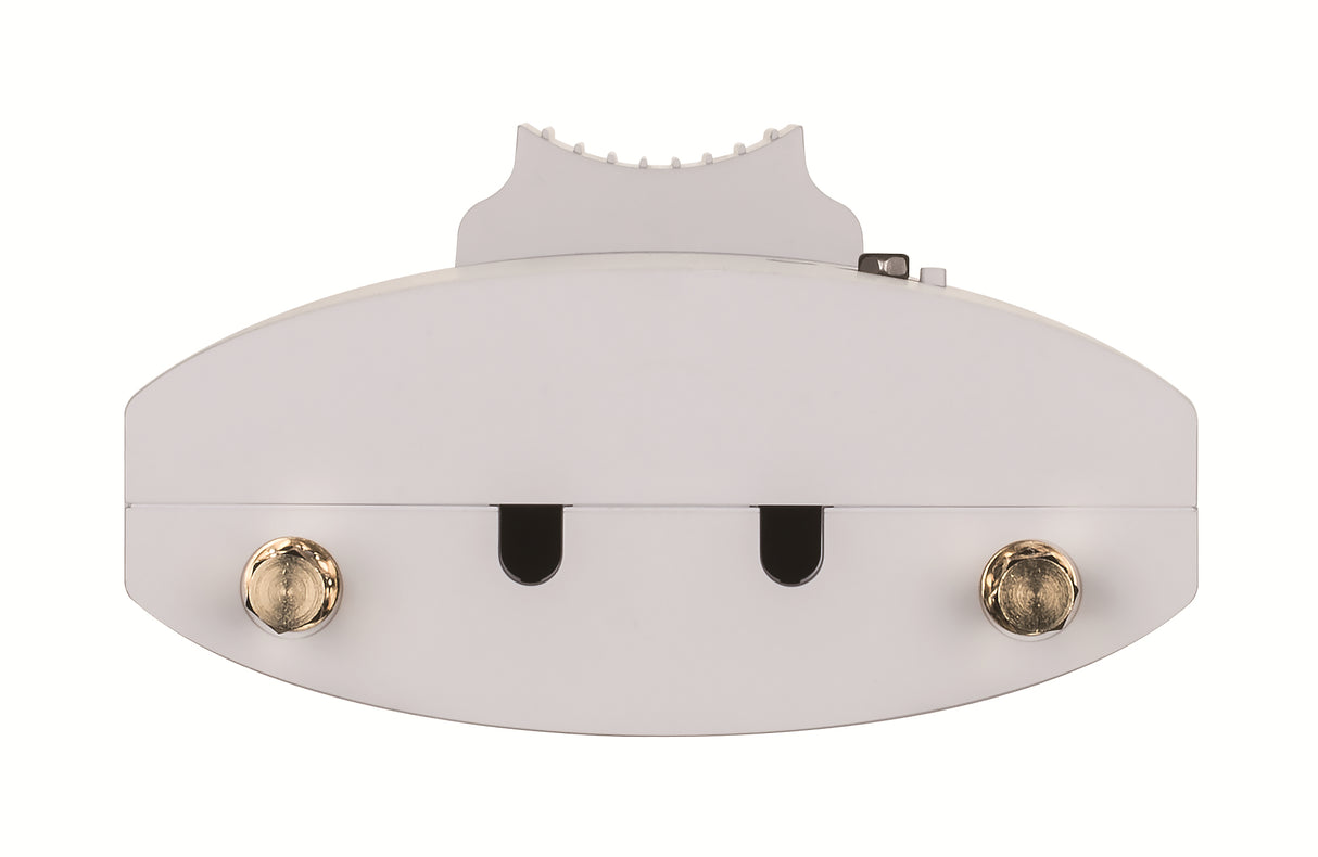 D-Link Wireless AC1300 Wave 2 Outdoor Cloud Managed Access Point