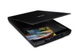 Epson Perfection V19 II Flatbed scanner 4800 x 4800 DPI A4 Black