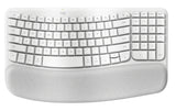 Logitech ERGO Wave Keys and Lift Combo