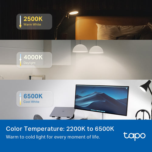 TP-Link Tapo Smart Light Bulb, Multicolor,Matter
