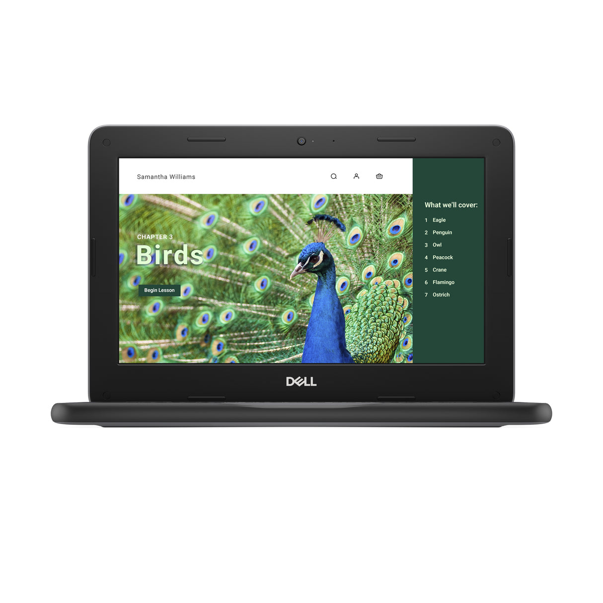 DELL Chromebook 3120 Intel® N N100 29.5 cm (11.6") Touchscreen HD 8 GB 64 GB Flash Wi-Fi 6 (802.11ax) ChromeOS Black