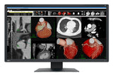 EIZO RadiForce MX317W computer monitor 77.5 cm (30.5") 4096 x 2160 pixels 4K DCI LCD Black