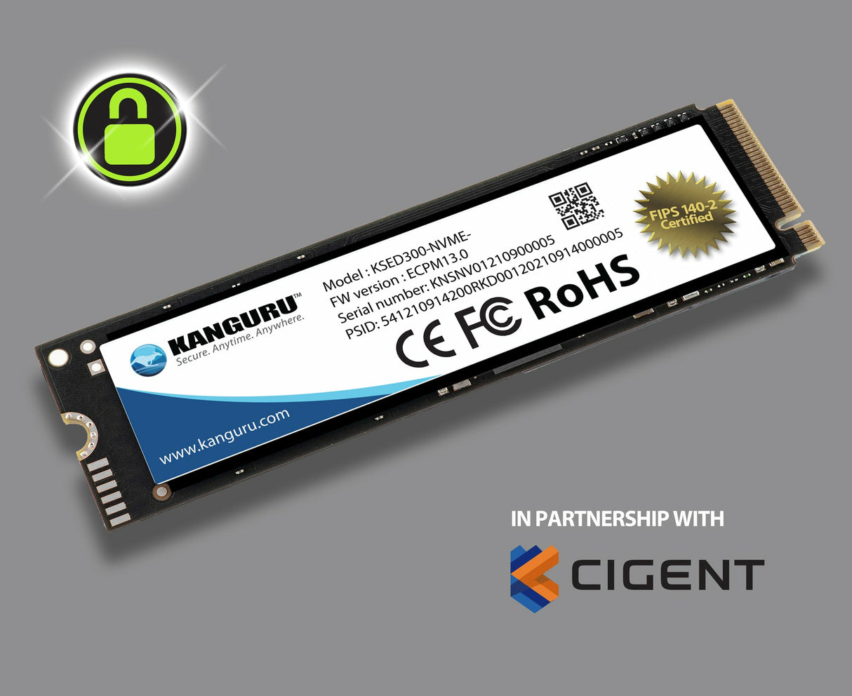 iStorage Kanguru Defender SED300 FIPS 140-2 Certified, M.2 NVMe Internal Self-Encrypting SSD - Data Defense by CIGENT-CIG-KSED300-NV-Series 2 TB Solid State Drive - M.2 2280 Internal - PCI Express NVMe (PCI Express NVMe 4.0 x4) - Blue - TAA Compliant