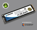 iStorage Kanguru Defender SED300 FIPS 140-2 Certified, M.2 NVMe Internal Self-Encrypting SSD - Data Defense by CIGENT-CIG-KSED300-NV-Series 2 TB Solid State Drive - M.2 2280 Internal - PCI Express NVMe (PCI Express NVMe 4.0 x4) - Blue - TAA Compliant