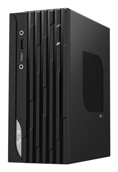 MSI PRO DP20ZA 5M-060US PC/workstation AMD Ryzen™ 5 5600G 8 GB DDR4-SDRAM 250 GB SSD Windows 11 Home Mini PC Black
