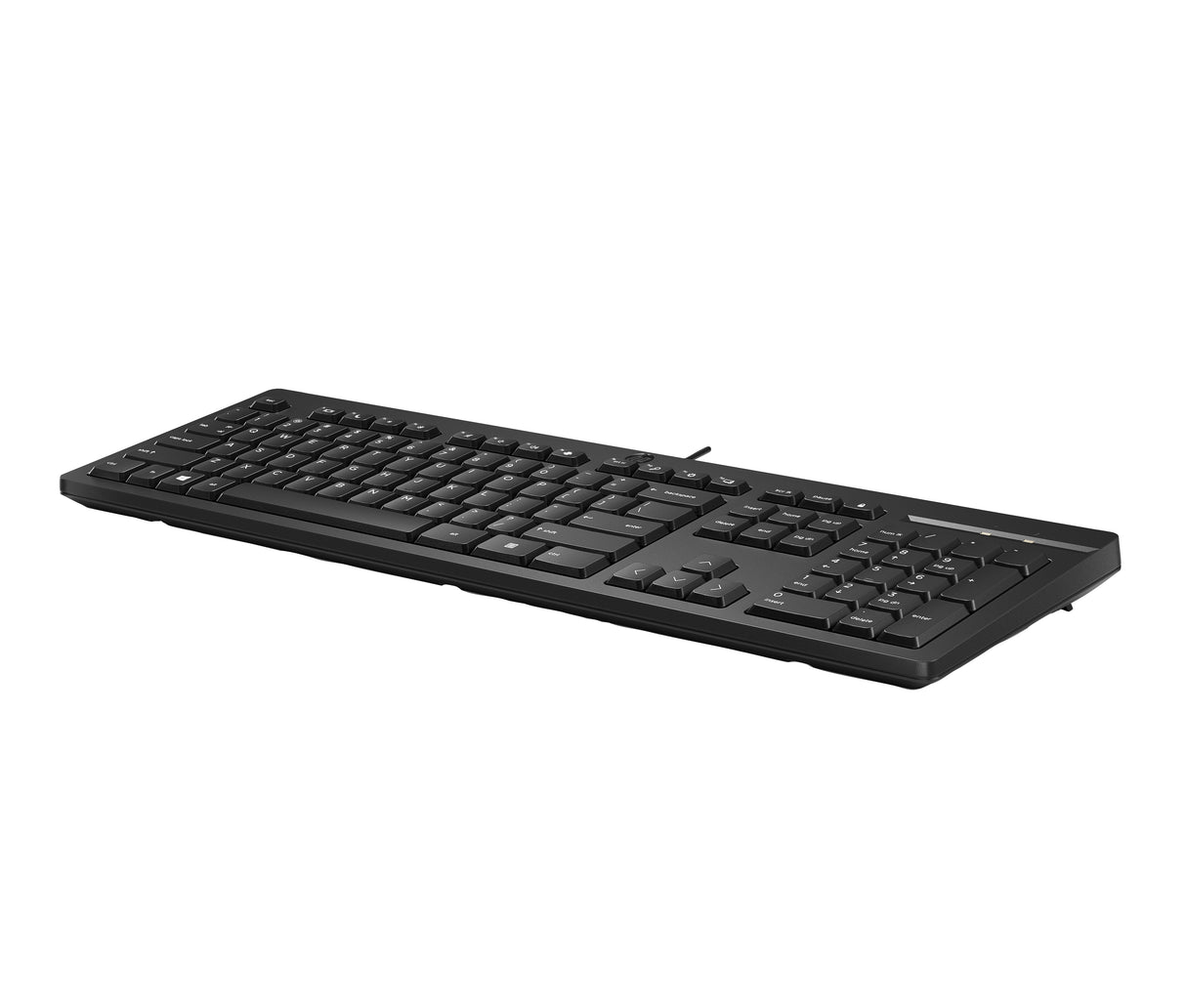 HP SMART BUY 125 USB WD KBD BULK keyboard Black