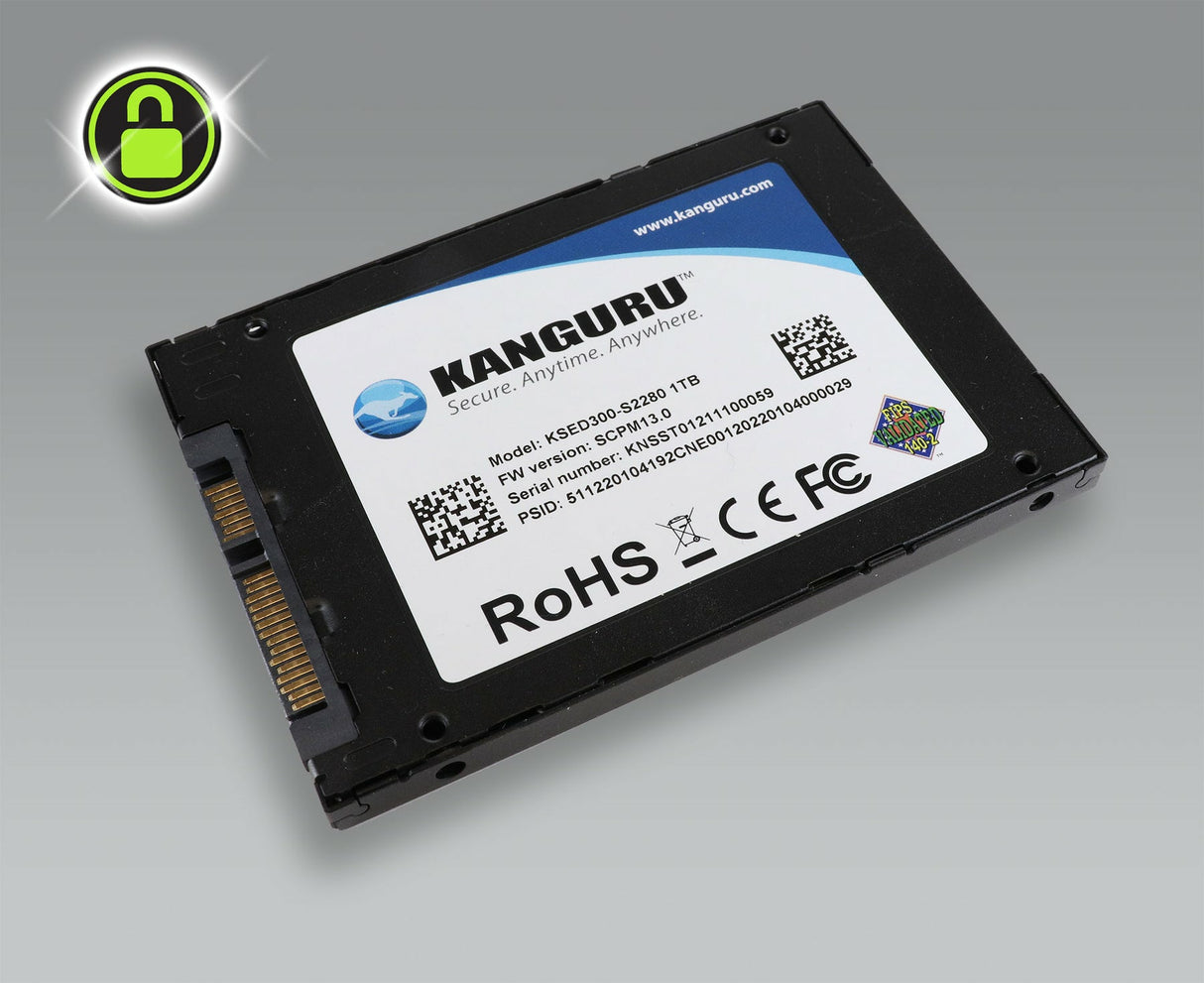 iStorage Kanguru Defender SED300 Hardware-Based Self-Encrypting Internal SATA SSD 500 GB | FIPS 140-2 Level 2 Certified | Self-Encrypting 2.5” SATA SSD |TAA Compliant