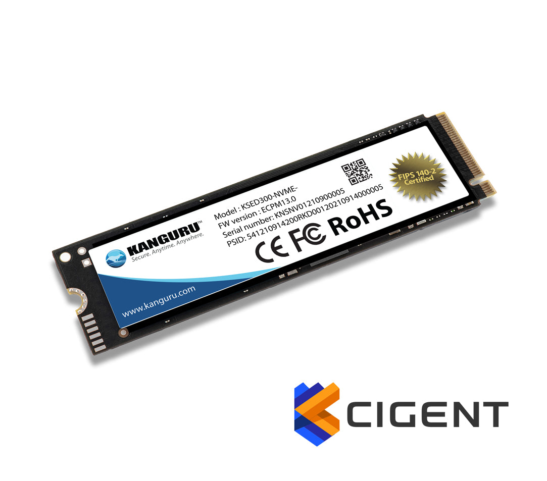 iStorage Kanguru Defender SED300 Hardware-Based Self-Encrypting Internal SSD 1 TB|FIPS 140-2 Certified | M.2 2280 Internal | PCI Express NVMe (PCI Express NVMe 4.0 x4) | TAA Compliant