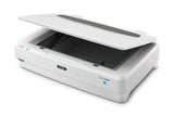 Epson Expression 13000XL Flatbed scanner 2400 x 4800 DPI A3 White