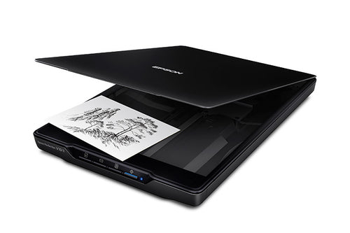 Epson Perfection V19 II Flatbed scanner 4800 x 4800 DPI A4 Black