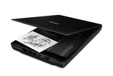 Epson Perfection V19 II Flatbed scanner 4800 x 4800 DPI A4 Black