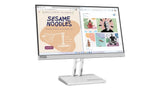 Lenovo L22e-40 Monitor