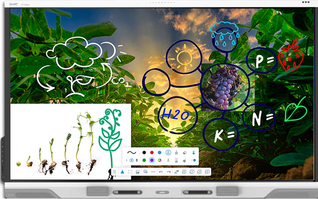 SMART Technologies RX265 interactive whiteboard 165.1 cm (65") 3840 x 2160 pixels Touchscreen White USB / Bluetooth