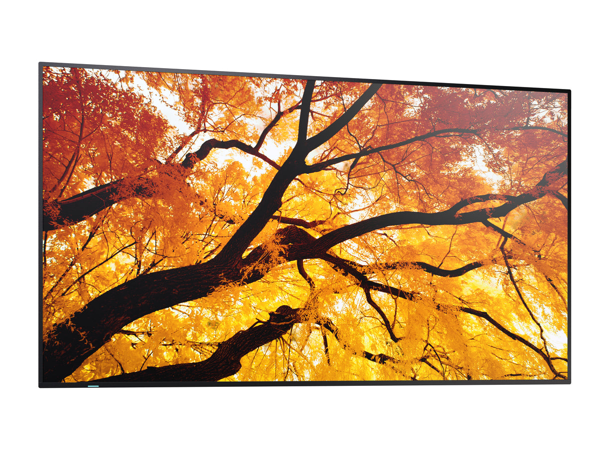 Sharp MultiSync M432 Digital signage flat panel 108 cm (42.5") LCD 550 cd/m² 4K Ultra HD Black