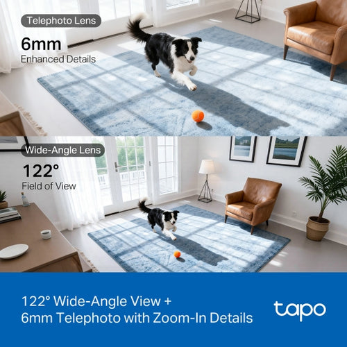 TP-Link Tapo C245D Spherical IP security camera Indoor 2304 x 1296 pixels Ceiling/wall