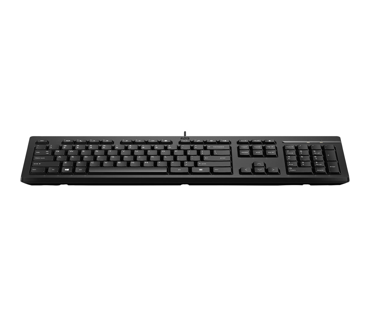 HP SMART BUY 125 USB WD KBD BULK keyboard Black