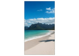 Sharp 55 Ultra-Narrow Bezel Professional-Grade Display LCD Indoor